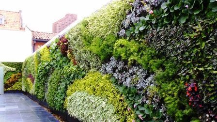 El jardín vertical más grande del mundo se encuentra en Colombia