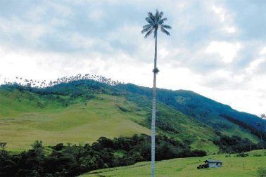 Muchos quedarán sin casa esta Semana Santa