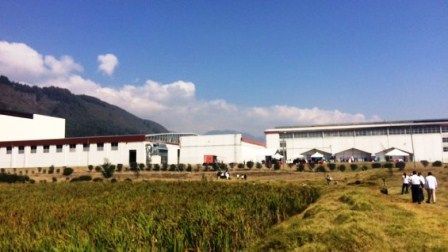 El humedal en Cundinamarca que convive con una fábrica